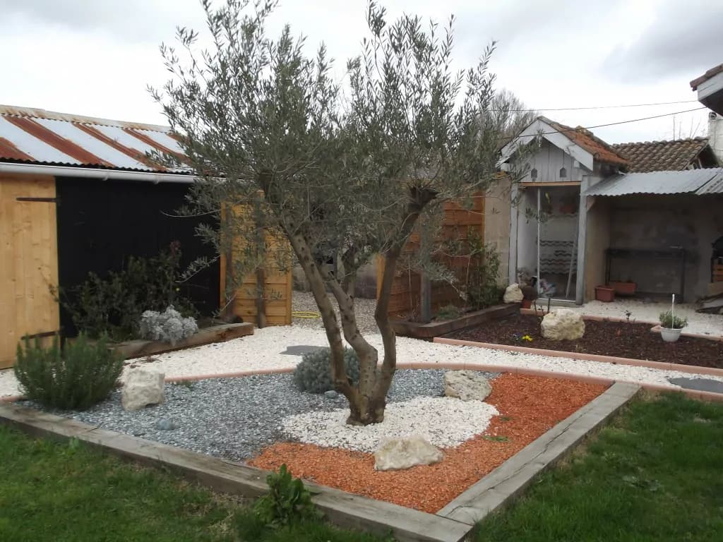 Au Jardin Merveilleux - Oliviers 20–50 ans