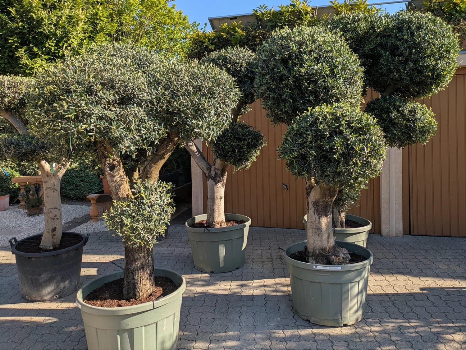 Olive_Ball_130_Jahre_green_Pot_a.jpg
