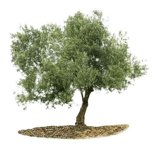 Au Jardin Merveilleux